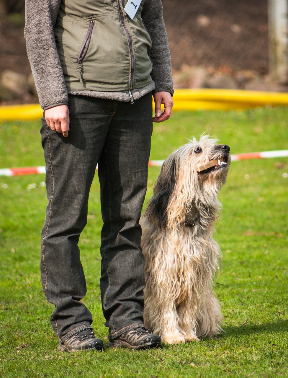découvrez la définition, l’utilité et les conseils pour bien créer et protéger un identifiant en ligne afin d’assurer la sécurité de vos comptes numériques.