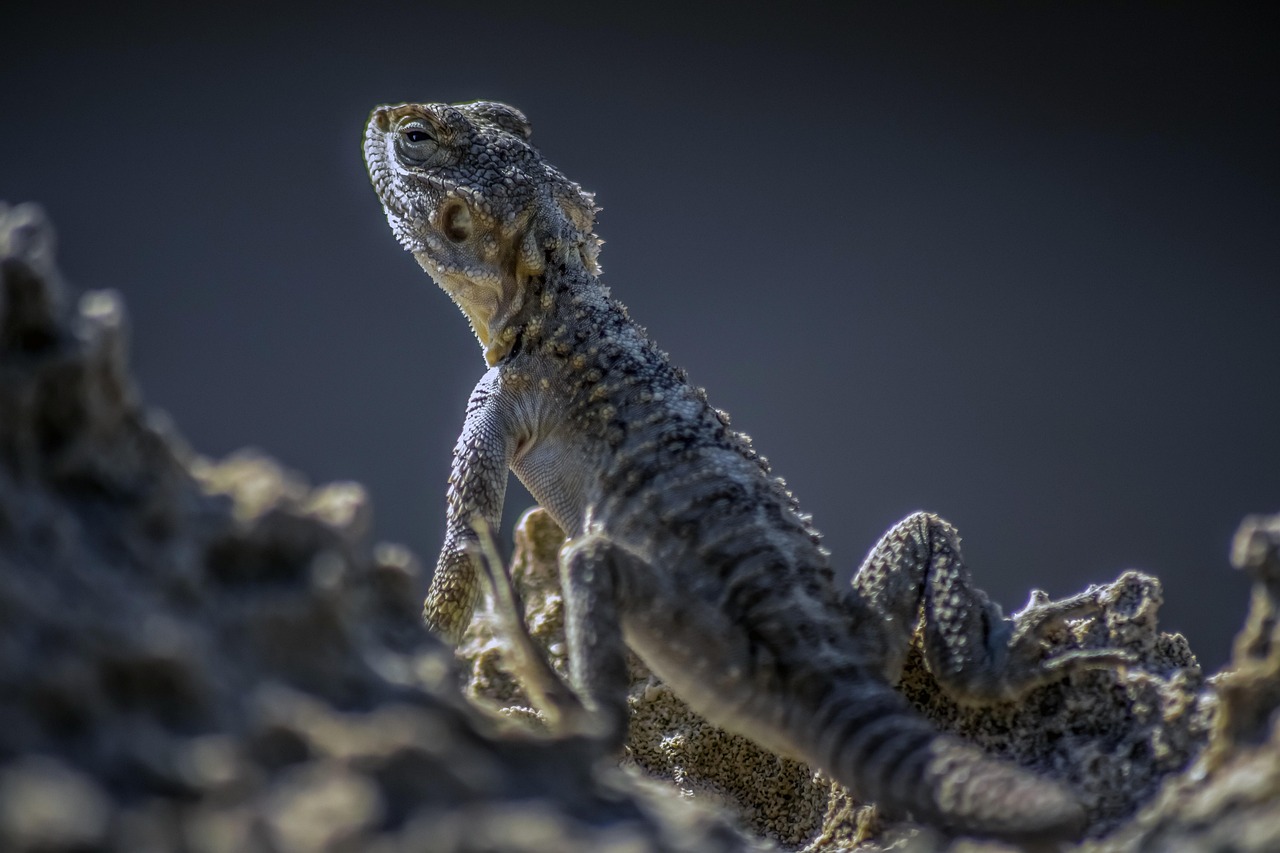 découvrez comment les entreprises peuvent réussir leur adaptation face aux évolutions du marché, anticiper les changements et renforcer leur compétitivité grâce à des stratégies efficaces d'adaptation business.