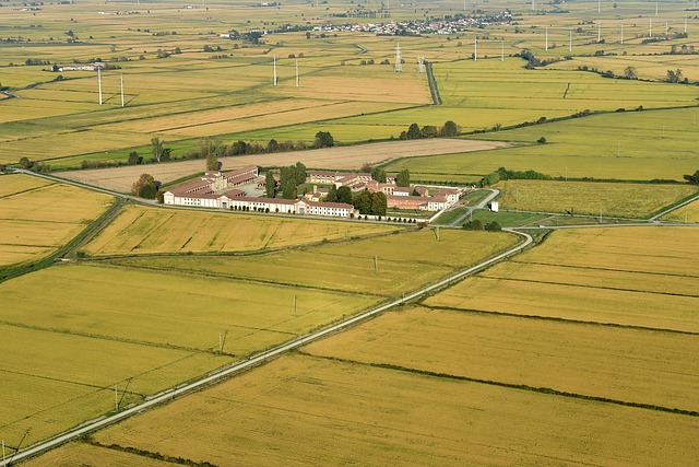 field marketing : comment optimiser vos campagnes terrain en 2025 ?